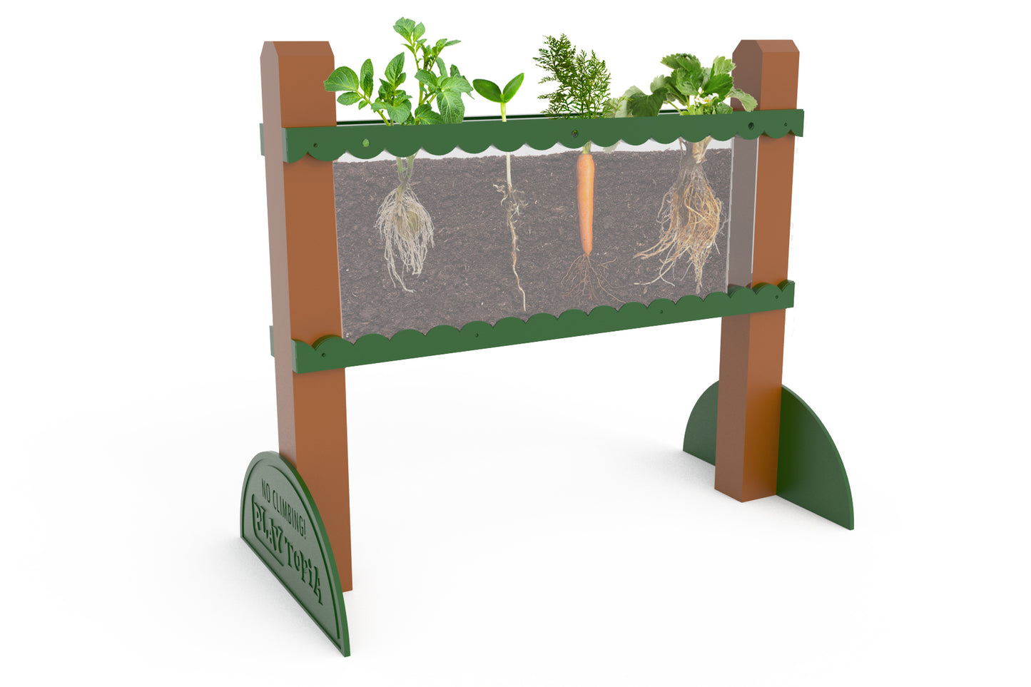 Root Viewer Planter